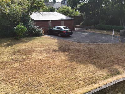 Picture 29